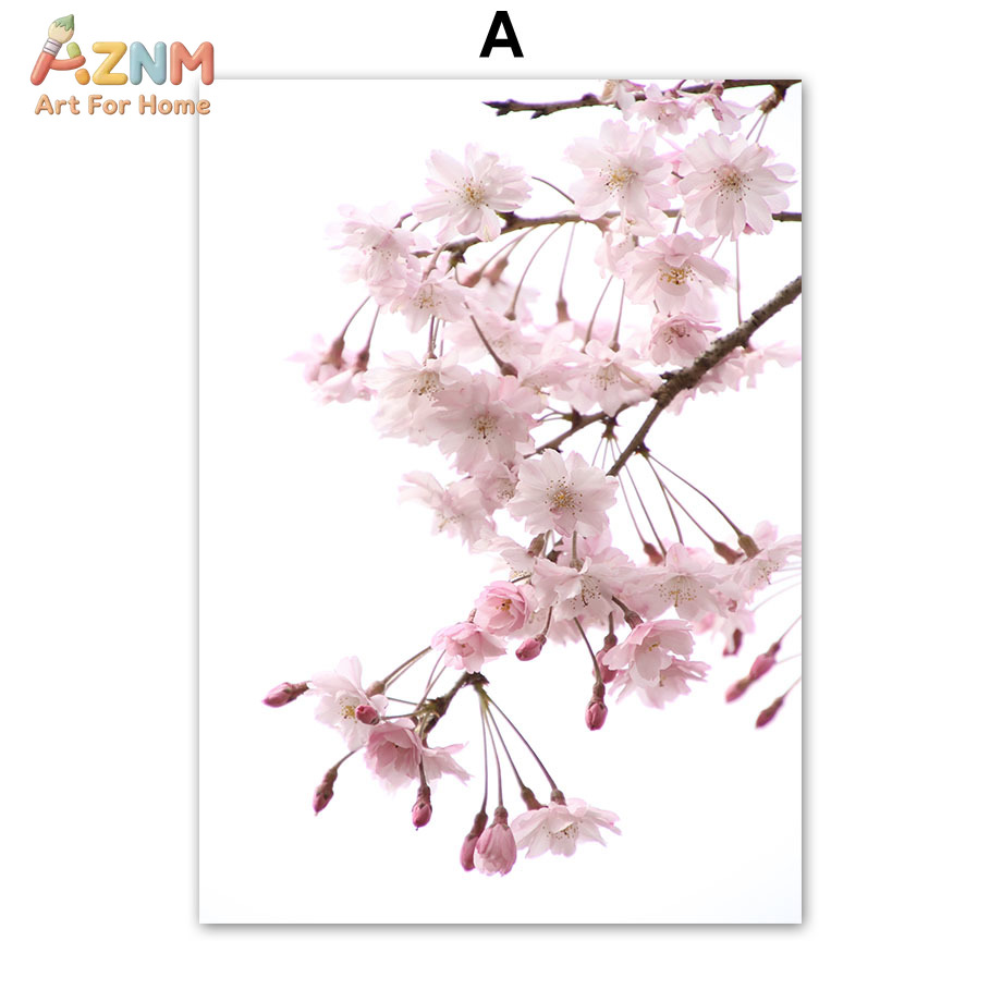 AZNM Pink Cherry Blossom Canva - Photography Quotes Inspirational recension och pris