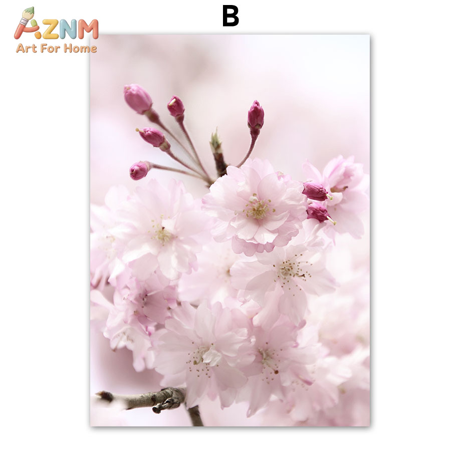 AZNM Pink Cherry Blossom Canva - Photography Quotes Inspirational recension och pris