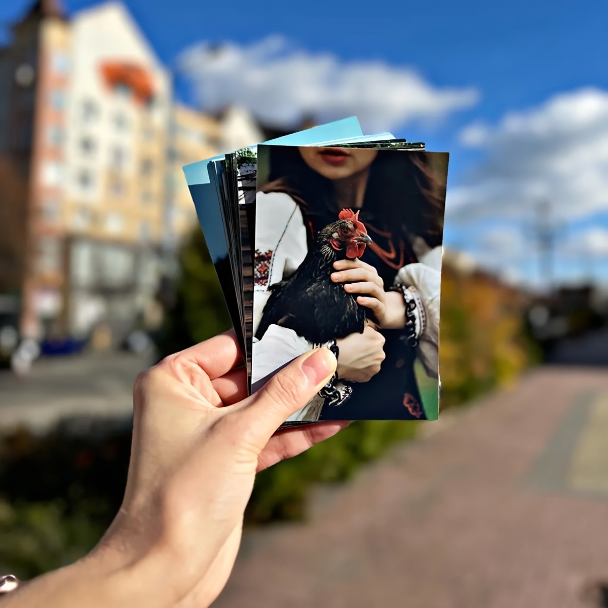 1/3/6Pcs Available, Personaliz - Photography Website recension och pris