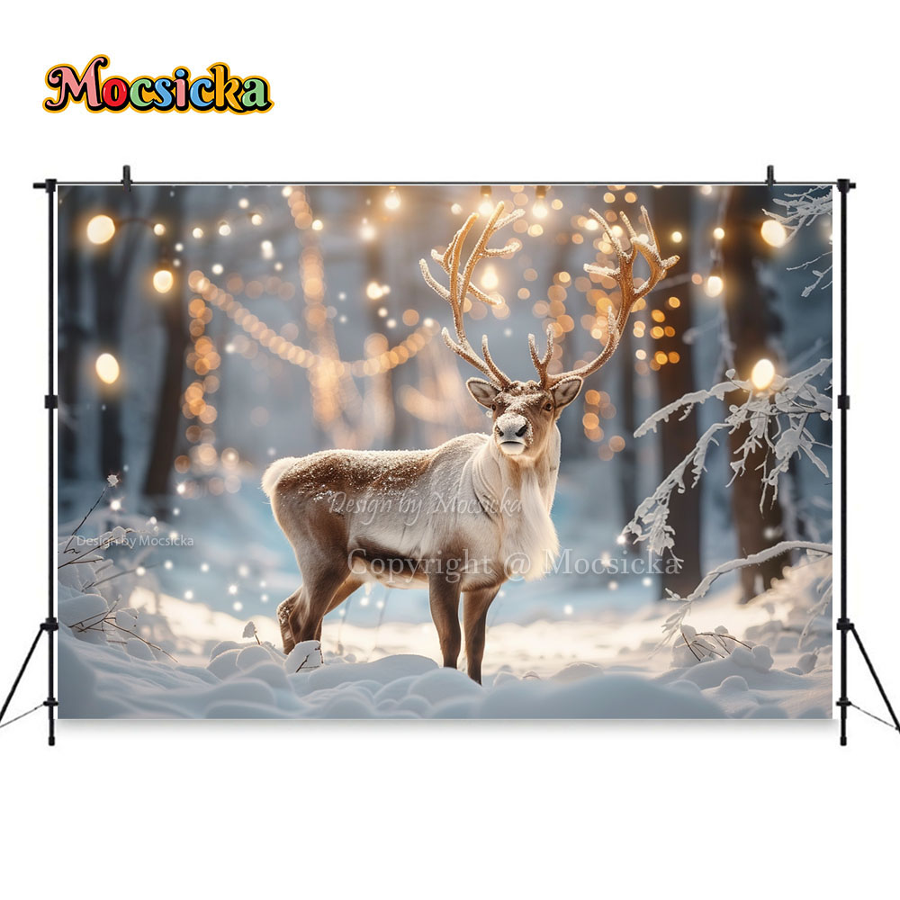 Winter Snow Scenes Photography - Photography Natural Lighting recension och pris