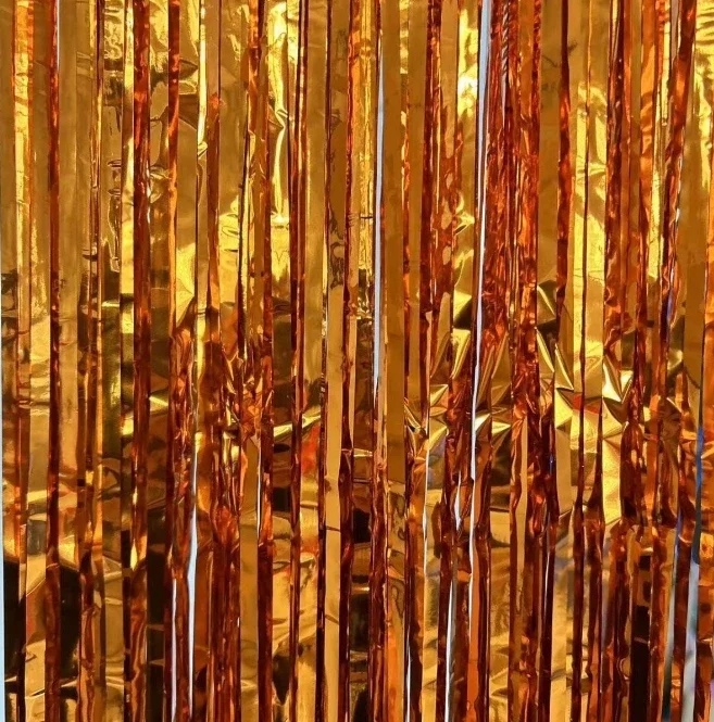 Foil Fringe Curtains Birthday  - Photography Website recension och pris
