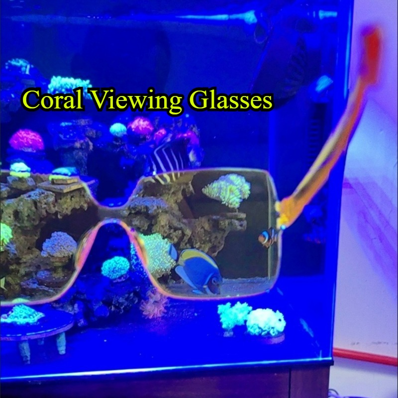 Coral Observation Glasses Cora - Photography Natural Lighting recension och pris