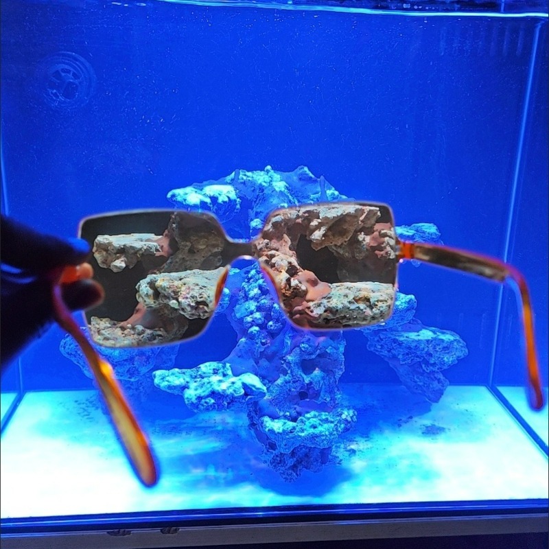 Coral Observation Glasses Cora - Photography Natural Lighting recension och pris