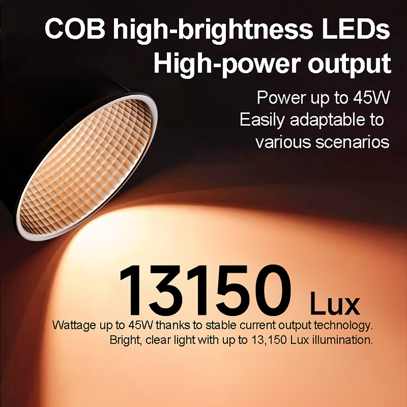 60W RGB Video Light Portable L - Photography Natural Lighting recension och pris